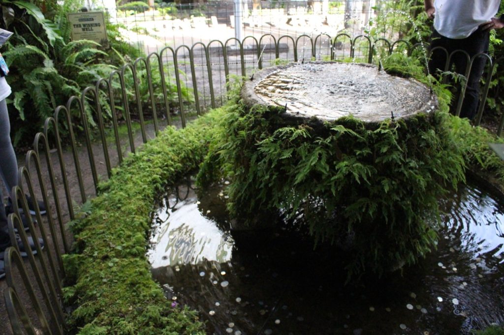 願掛けの泉
